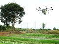 Ba Ria-Vung Tau steps up digital transformation in agriculture development