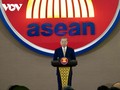 Party chief attends ceremony marking Vietnam’s 30 years of ASEAN membership 