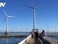 Vietnam’s roadmap for offshore wind power development