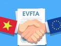  Bilateral FTA generates 300 billion USD in Vietnam-EU trade after 5 years 
