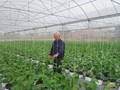 Hung Yen's circular farming models pave the way for sustainable agriculture
