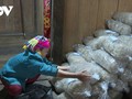 Nung village keeps hand-spread canna vermicelli tradition alive
