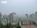 台風3号 北部ハイフォン市とクァンニン省に上陸