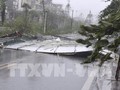 台風3号 多くの地方に深刻な被害 与える