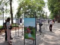 「私の心の中のハノイ」写真展