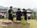 テイ族のユニークな伝統文化 「コム作り祭り」