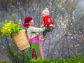 ドンヴァン県のモン族の命名儀礼