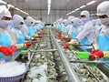 ベトナム企業、米国関税に積極対応 - UOB銀行調査