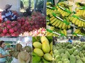 ベトナムの農林水産物輸出、米国向けが首位