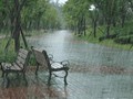 一组有关夏雨的优美歌曲