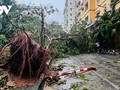 台风摩羯在多地造成重大损失，减弱为热带低压