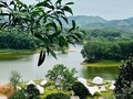 茶丘湖：太原省公河市的绿色明珠