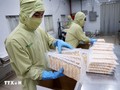 农林水产品出口顺差超115亿美元