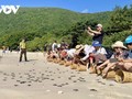 Con Dao – Eine Reise zur Entwicklung der Kreislaufwirtschaft inmitten unberührter Natur