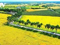 Don Ca Tai Tu – Eine Kunstform, die Touristen nach Long An führt