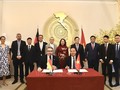 Vietnam und Deutschland unterzeichnen gemeinsame Erklärung zum Aufbau einer Energiepartnerschaft