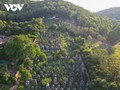 Pagoda Bo Da - Tempat dengan Taman Stupa Terbesar di Vietnam