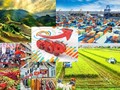 Năm 2025: ưu tiên cho tăng trưởng, phấn đấu GDP đạt khoảng 8%