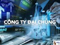 Thông tư 19 Quy định về đăng ký và hủy tư cách công ty đại chúng