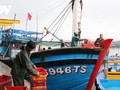 Hướng tới xây dựng ngành khai thác thủy sản bền vững