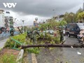 Northern Vietnam battles landslides, floods, death toll from Typhoon Yagi rises to 71