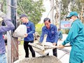 Over 266,500 temporary, dilapidated houses eliminated nationwide