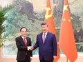 Vietnam willing to work with China to advance on new development path 