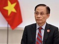 Vietnam pursues foreign policy of contributing to world peace, development
