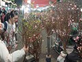 Phố cổ Hà Nội khai mạc chợ hoa truyền thống