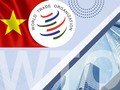 Kinh tế Việt Nam vận hành theo quy luật của thị trường và quy định của WTO