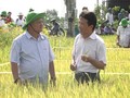 Tien Giang’s farmer becomes successful businessman