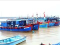 IUU fishing combat intensified in Quang Binh