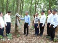 Việt Nam thúc đẩy đầu tư, hợp tác phát triển kinh tế vùng Đông Bắc Campuchia