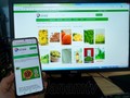 Ha Nam promueve la digitalización para desarrollo económico del sector agrícola