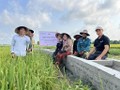 Sécuriser l’eau, améliorer la vie – une initiative au service des agriculteurs vietnamiens 