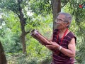 Le Goong-cla, l’âme vibrante du peuple Cho Ro menacée d’oubli