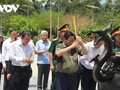 Thủ tướng Phạm Minh Chính dự lễ viếng, tri ân liệt sĩ tại Côn Đảo
