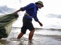A glimpse of vibrant fishing life in Central Vietnam