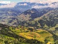 Ripe rice season in Lao Cai’s Hang Dang De village 