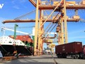 Strong first half drives Vietnam toward 450 billion USD export target