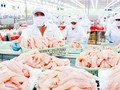 Vietnamese pangasius penetrates US market