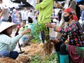 Digital tech sends Lai Chau’s mountain goods viral