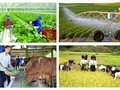 Vietnam proyecta contar con varias empresas agrícolas líderes en la región y el mundo para 2030