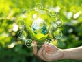 Vietnam baut eine grüne und nachhaltige Wirtschaft auf