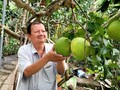 Nguyên Van Bay, un agriculteur milliardaire de Bên Tre