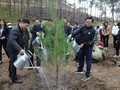 Lancement de la campagne de plantation d’arbres à Uông Bi