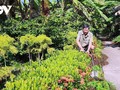Nguyên Van Chà, un ancien combattant engagé dans le développement économique