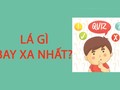 Đố vui: Lá gì bay xa nhất?