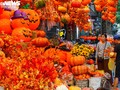 Đồ chơi Halloween ngập tràn, phố cổ Hà Nội trở nên ma mị