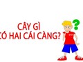 Đố vui: Cây gì có hai cái càng?